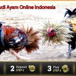 Login Judi Ayam Online Indonesia
